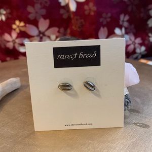 cowrie sterling silver studs
